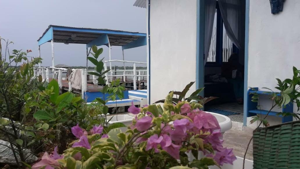 Blue Coral Homestay Karimunjawa Exterior photo